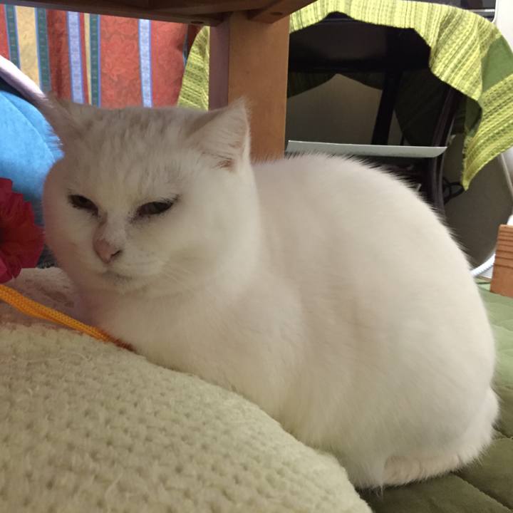 2d7fa920 a811 43cb a9f7 1e4fe3b645ef