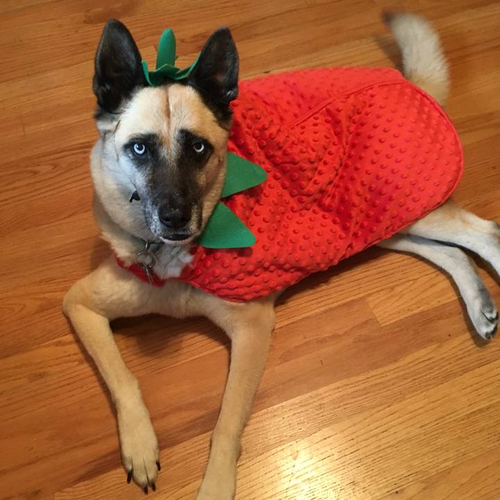 2d7ffa70 eb80 4d2e 8654 b8505334111b