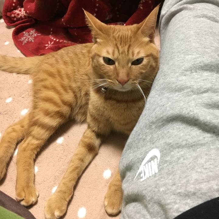 2d81efca fee2 46b9 9fa1 215255d4bae2