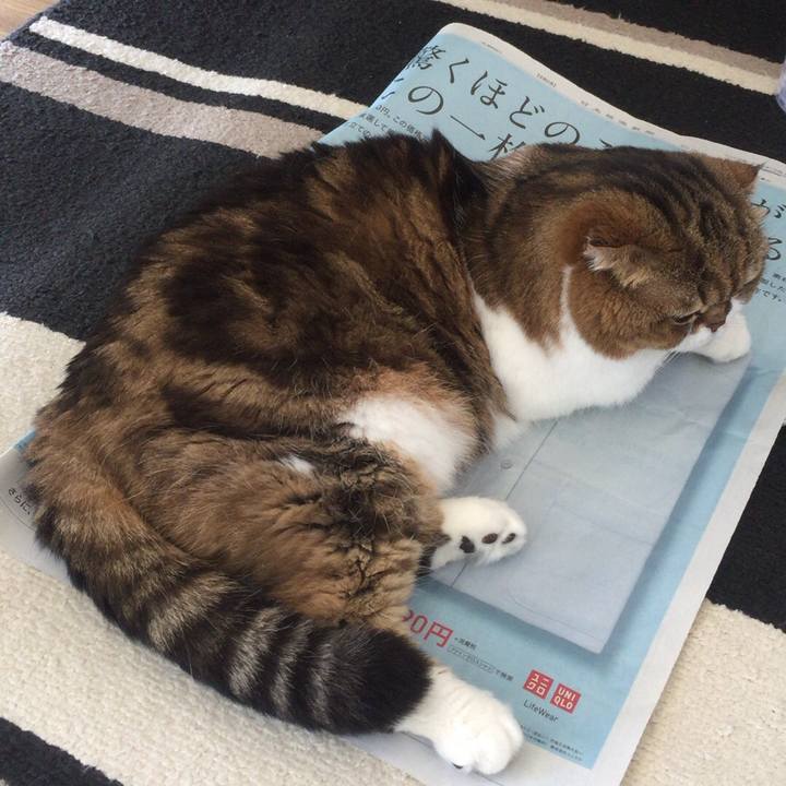 2d83139b 7d3e 47a9 9aec 7da2b76989f2