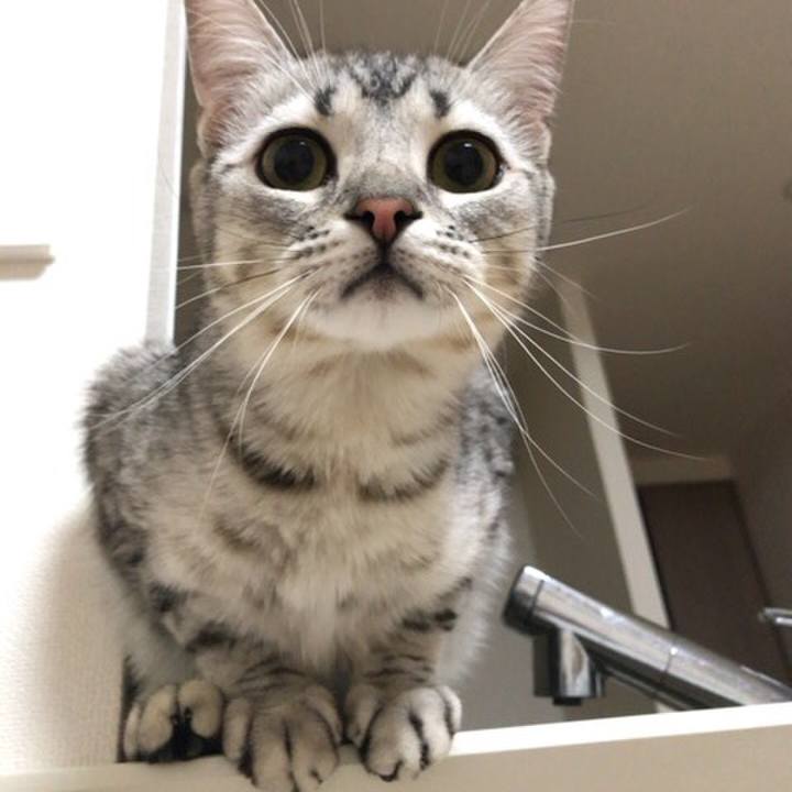 2d833bff 90bd 4689 906f ffa9c77ec005