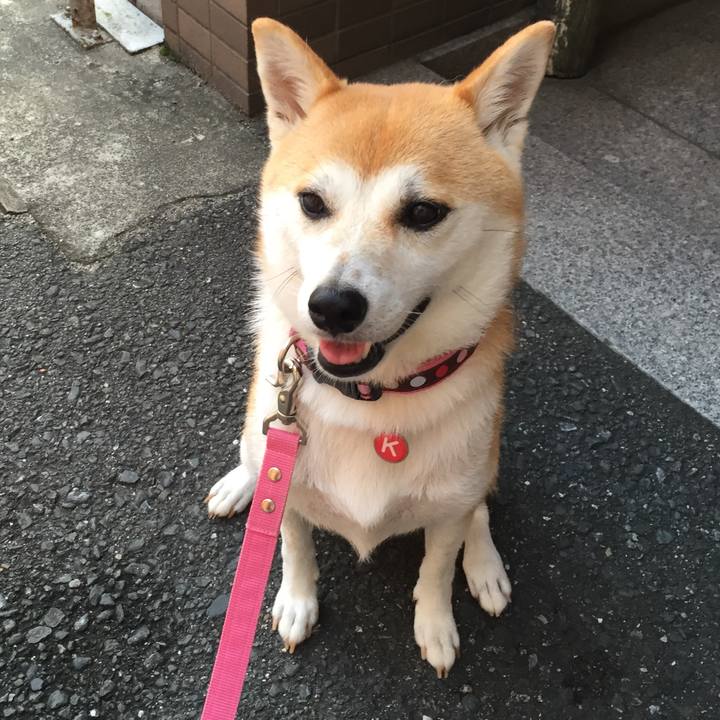 2d84101d 54ec 41d7 9560 44d4c8d695a5