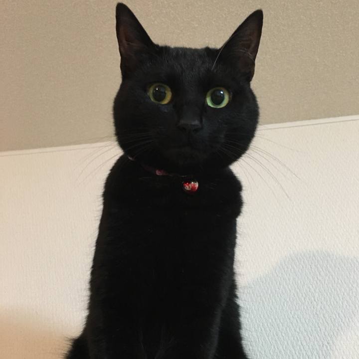 2d841e88 cc5b 44b9 a21c 80fae4aeb646