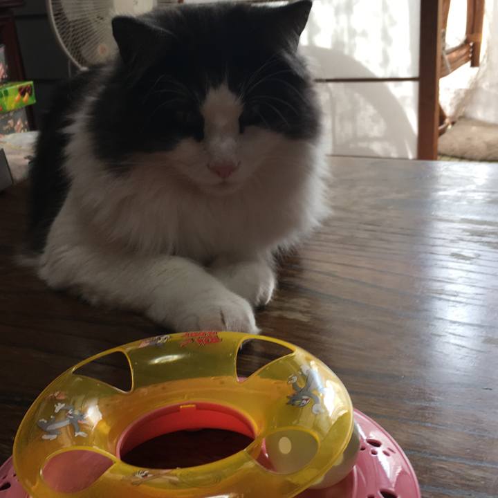 2d84e65c 2c4a 4770 947b 73c671b364dc