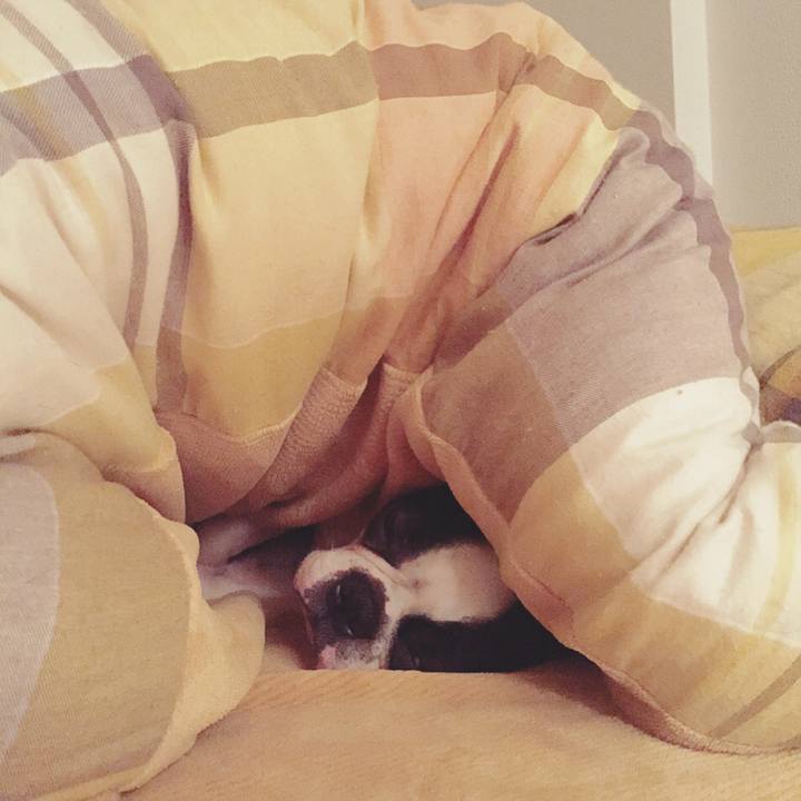 2d85402b 4405 4e05 a48b ffde28773039