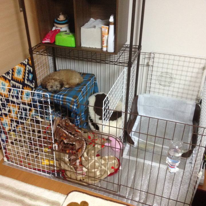 2d854724 ae6a 41bd 92a6 c347d37db40f