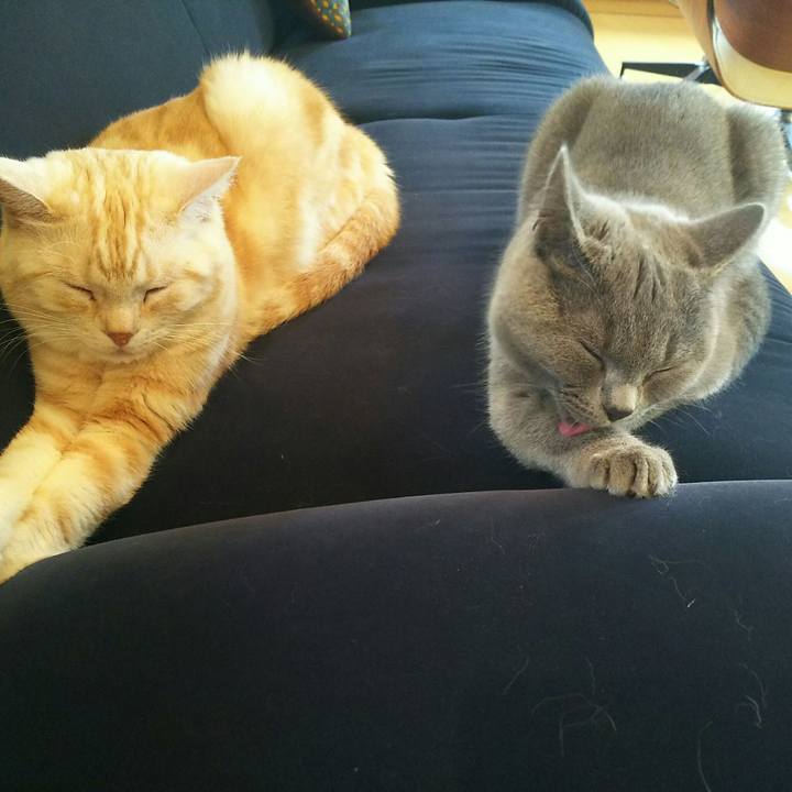 2d856efb 9e17 4d86 aef8 8e59055be068