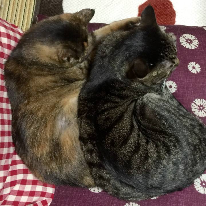 2d85ac6d dd57 4640 852c 7425d21cbcdd