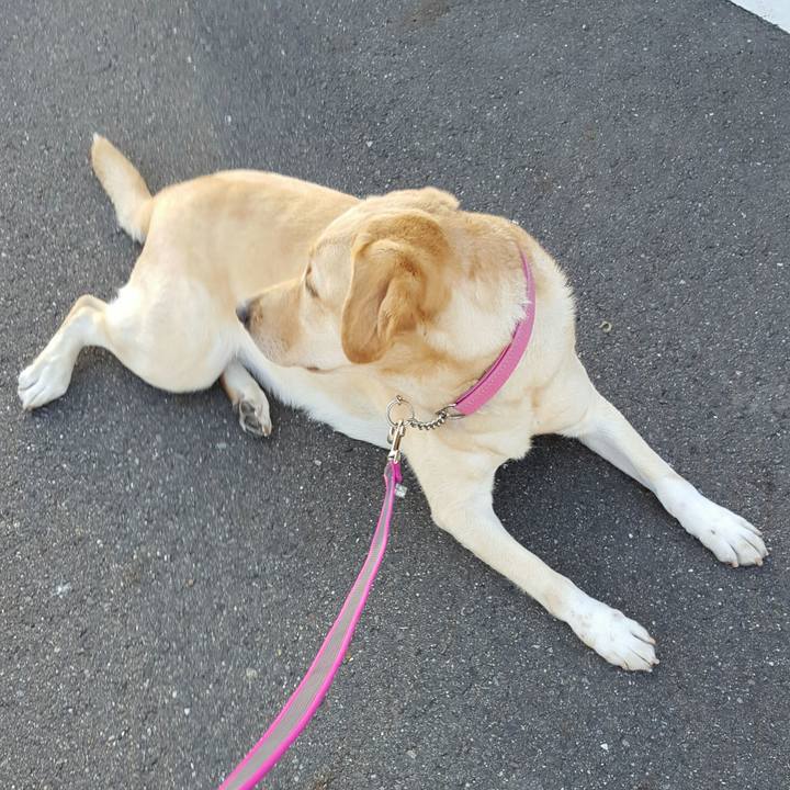 2d85b8a1 7e6d 4976 b0b2 76ef0c982051