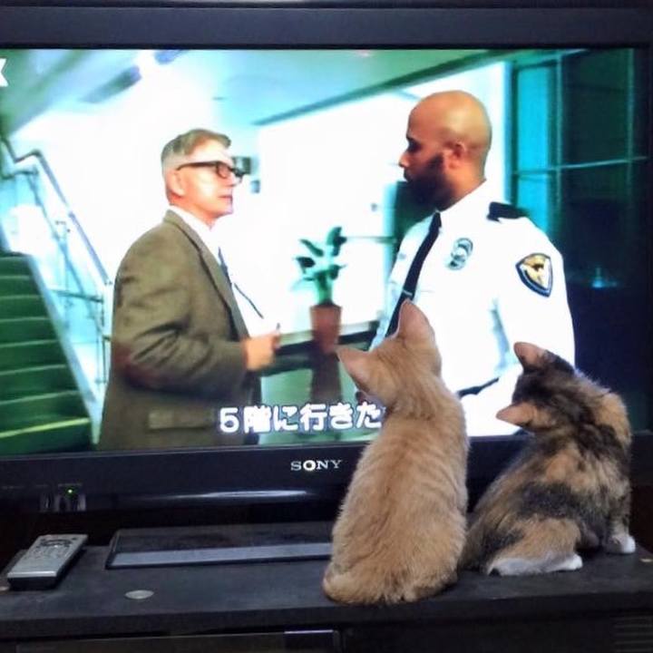 2d85edfd 2f0c 4be3 811a b129fa2f99da