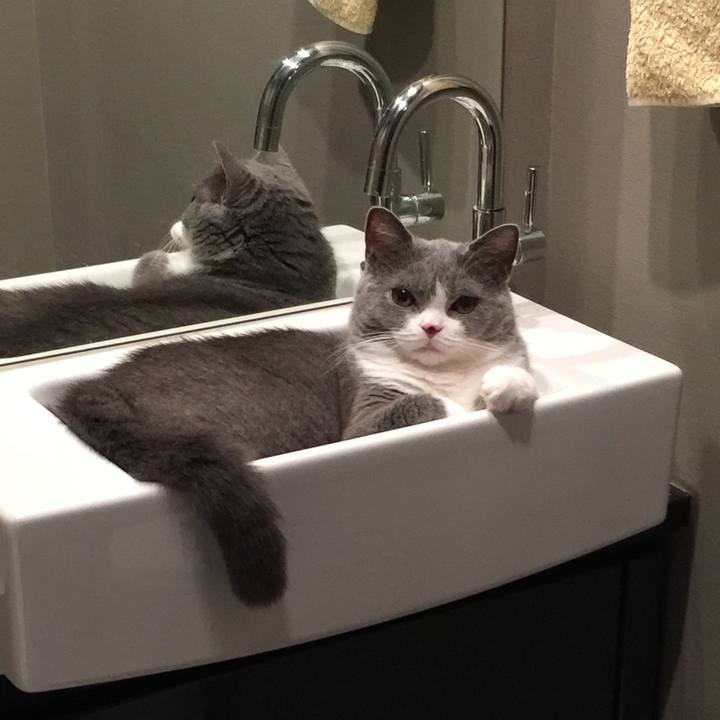 2d869ec0 6fd9 4c33 97d6 12709d788c68