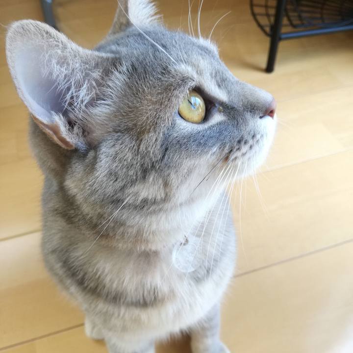 2d86c3f5 7b1f 4700 87de da4a9b1304a6