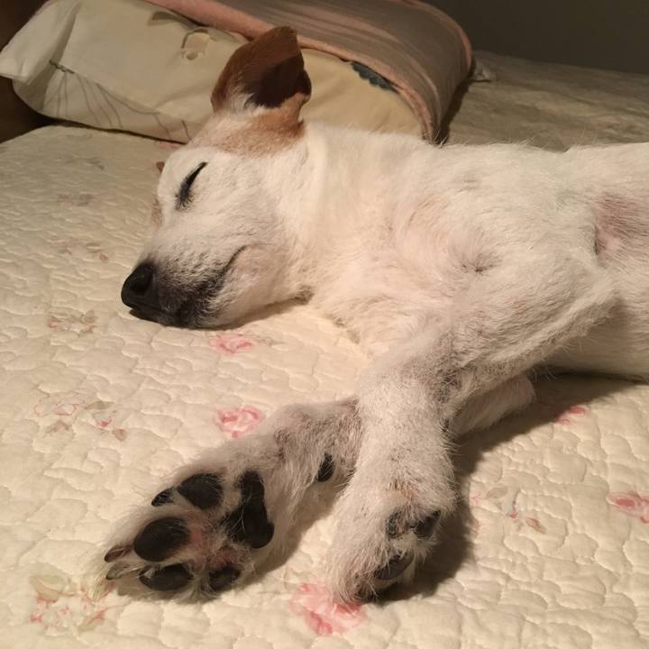 2d871763 4218 4cb5 a4fd 61806f4ec472