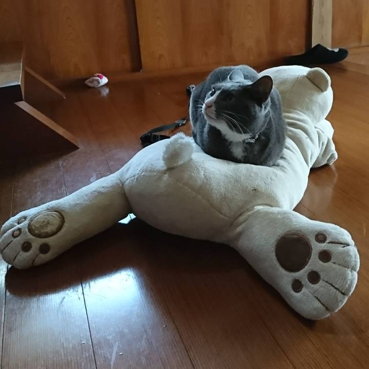 2d871fe2 1c50 40c4 84eb 2ff2c84d5d71