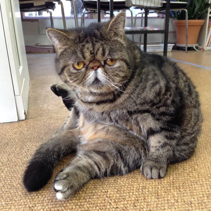 2d877de5 d4b7 4f07 af37 952be0e49cb7