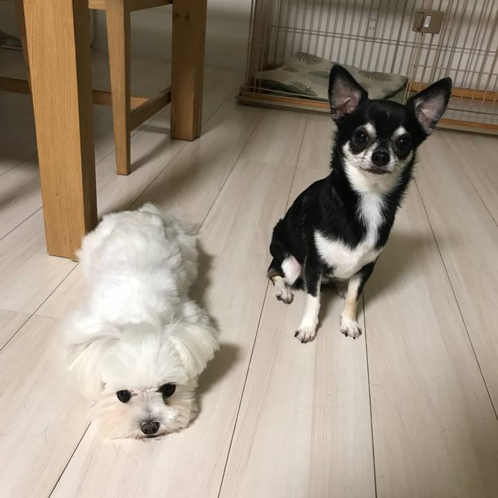 2d878aba 4a4e 41c8 a1f5 8d2970478375