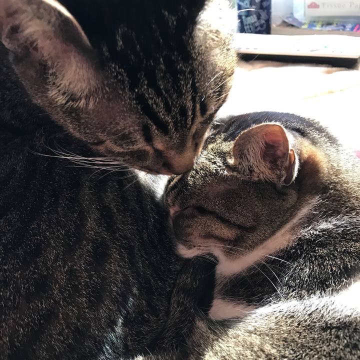 2d87f157 b864 4b16 9563 a65d027c7a87