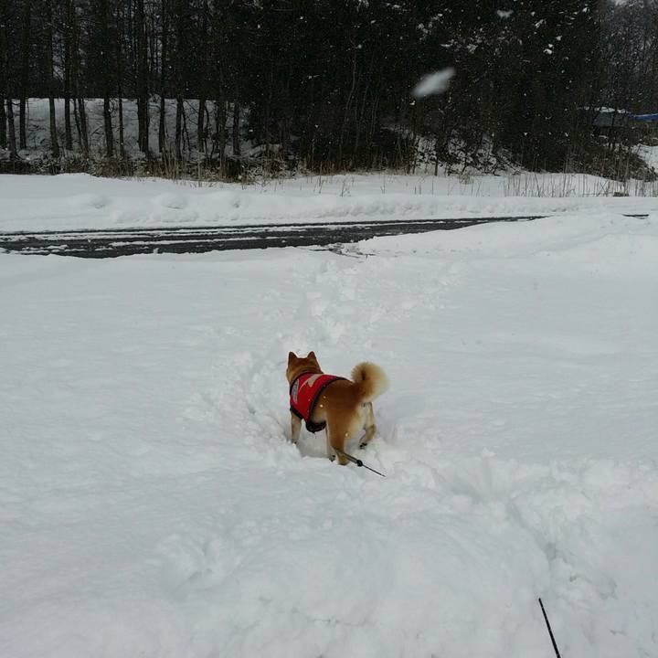 2d88923a c407 43e2 82c7 719bdf86f707