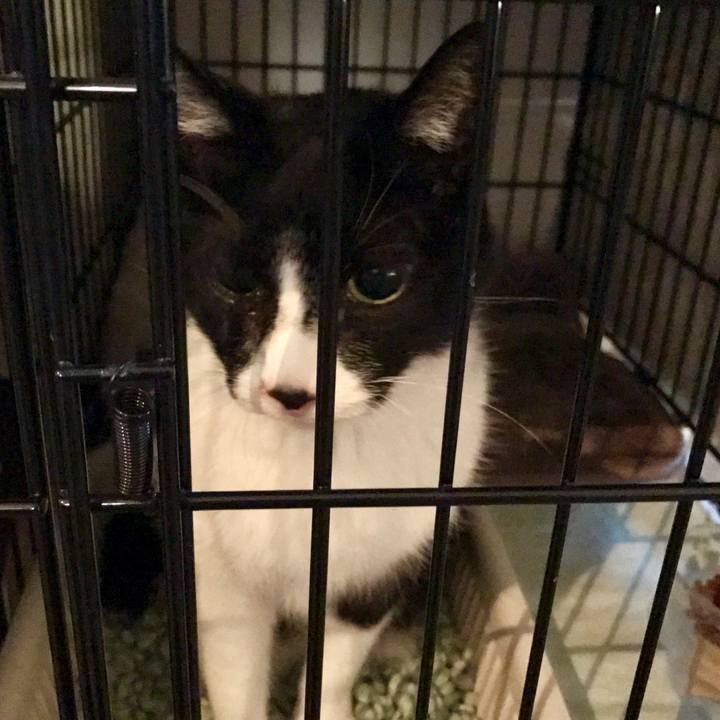 2d88e557 a353 47d9 95f1 660d6e536695