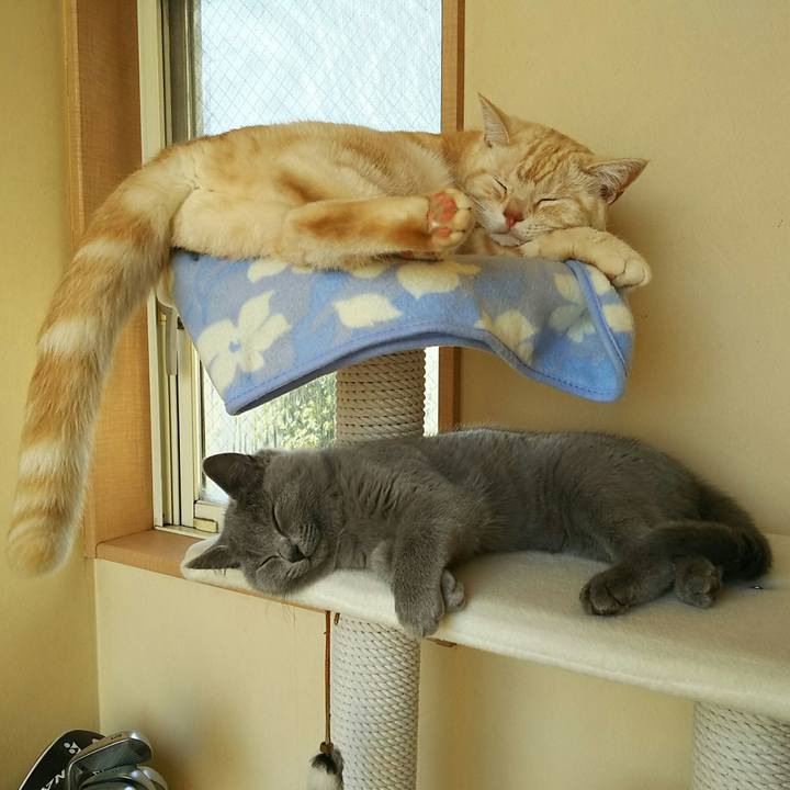 2d88f616 db81 4a1a a820 de4de8d59e64