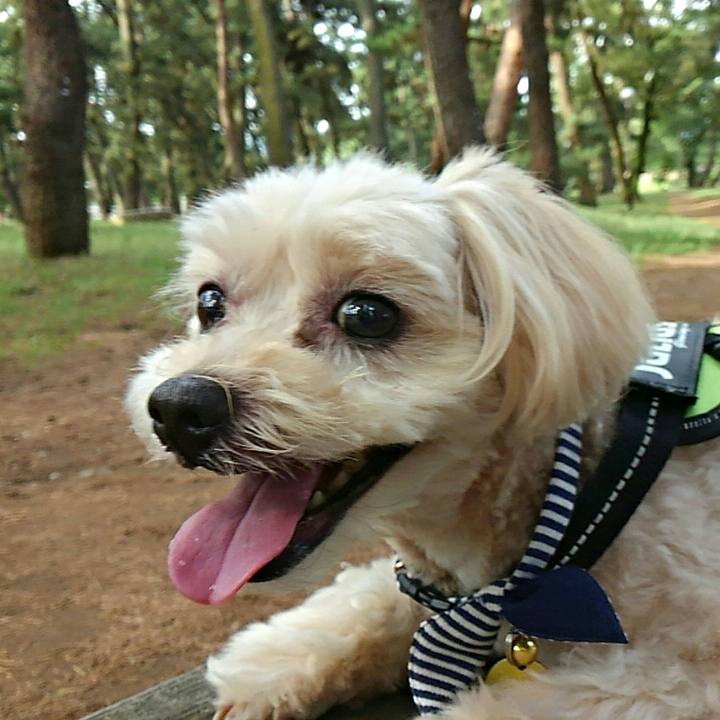 2d896642 9a4a 4ed1 ae5b 38f0da532e93