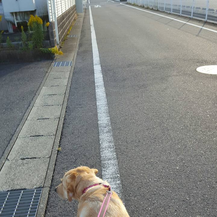 2d8975b7 ad9d 41e7 9642 c2a1a7cbb30e