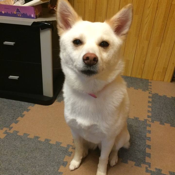 2d89973d 05ee 41a4 8bd9 ed4844c023ec