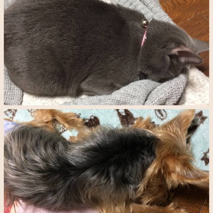 2d8a8fad 1ce3 4900 a164 eefe0bdbbd64