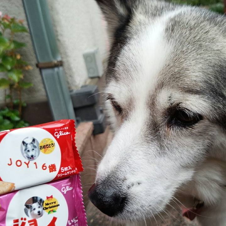 2d8b93ae bc40 4c35 8c4d c4e5905a3a5c