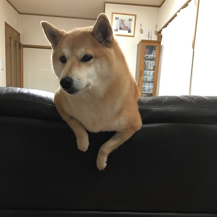 2d8bdeb4 b00f 4e4b 9e4b eead485b5b08