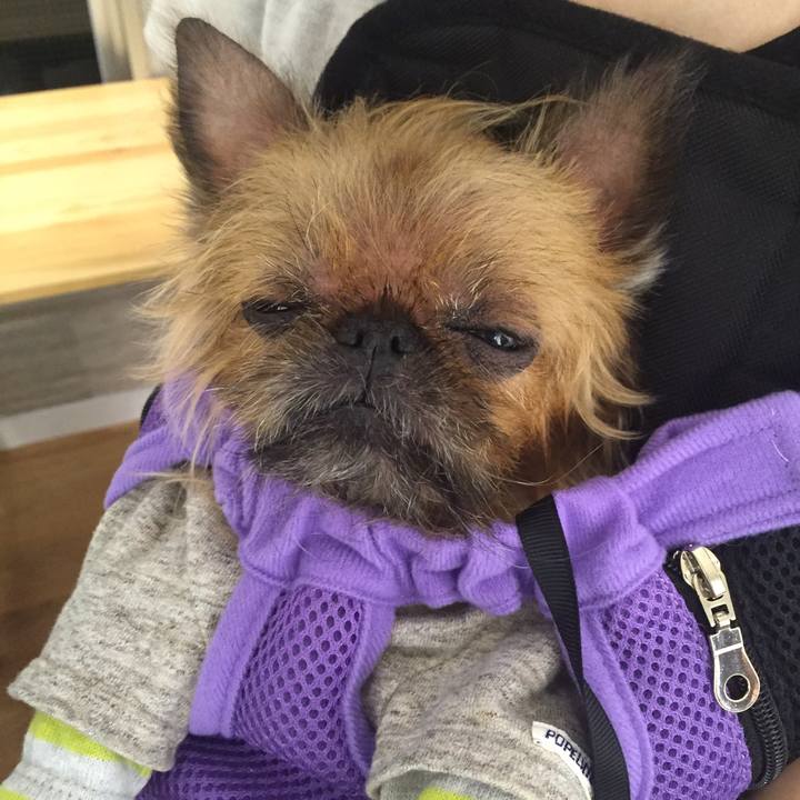 2d8c044c bf16 4258 b336 7259bec2e2e8