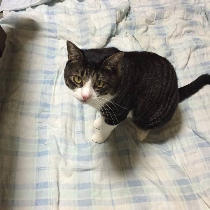 2d8c374c 6fb0 402a bc28 19b987f1e7da