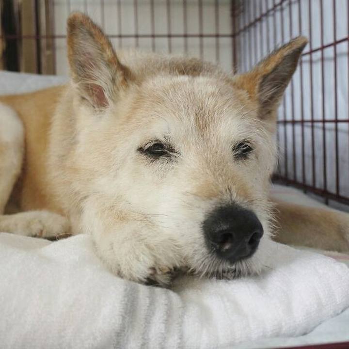 2d8c9284 2097 4e52 8691 d747e6d9a7d8