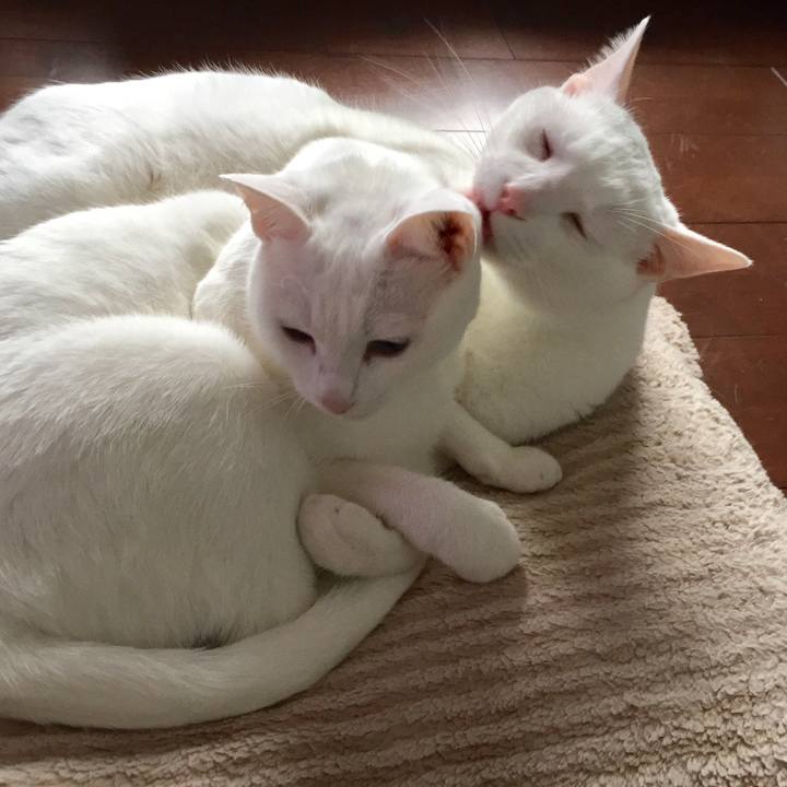 2d8e3f51 69fe 49fd 80c9 c6e7e9435510