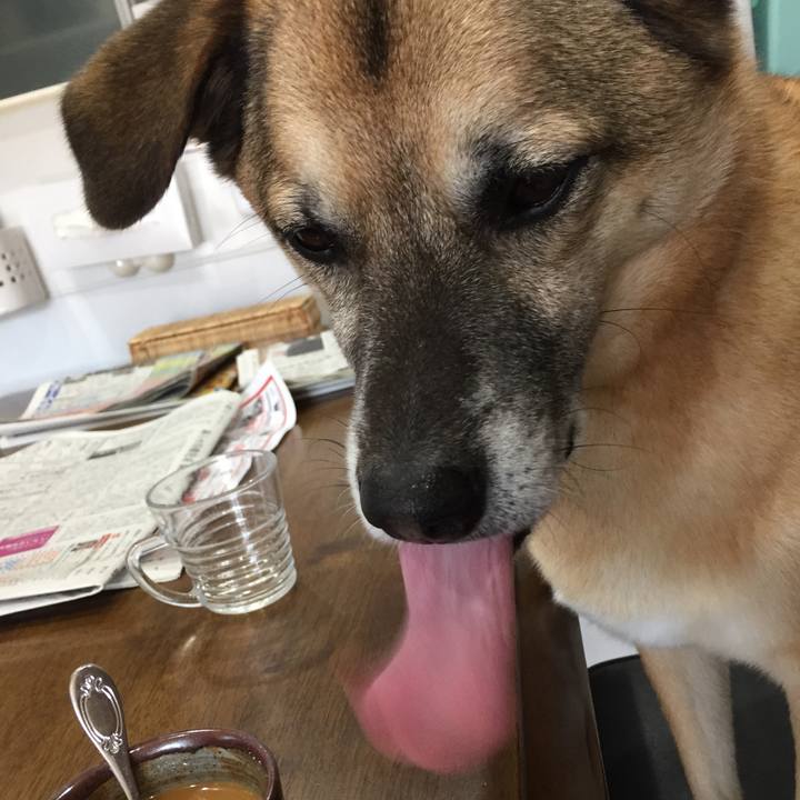 2d8e6069 8949 4314 b4ee a18c61ecbaba