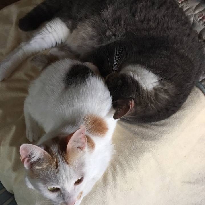 2d8e9fd9 e107 4bb4 a3ef d7d4ba14a34f