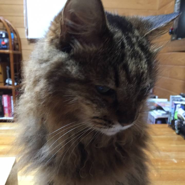 2d8ef43e c49f 497d 9f2e 6f27b8a15dc5