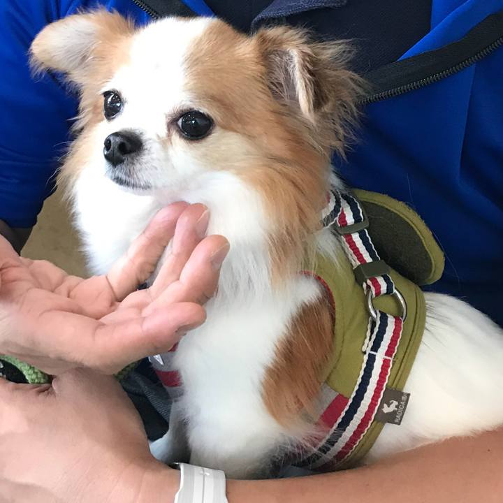 2d8efee7 1015 4f73 9277 097e8a8392eb