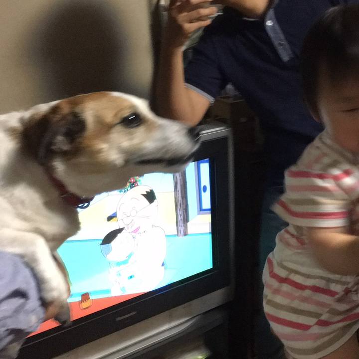 2d8f1258 8281 4e2c 9072 011c1c3a6ee6