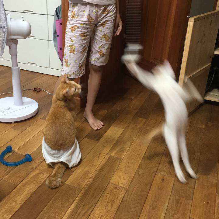 2d8f4bf9 4c06 4343 a614 5282795846a5