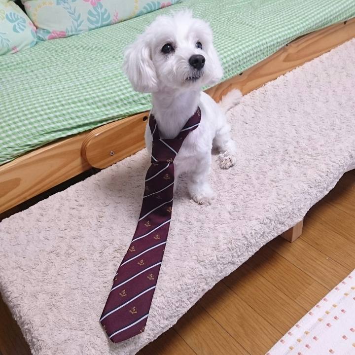 2d8f5933 9053 43e0 a620 74557f732920