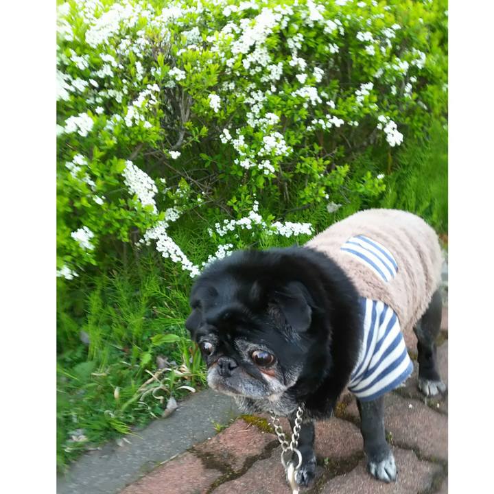 2d9069ea aef5 4771 ae04 a0927395dcd9