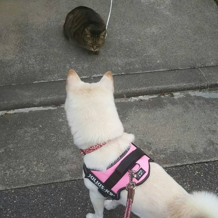 2d909a84 4ea2 4c10 b39b 983d30d5911d