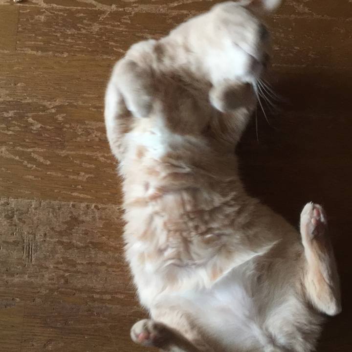 2d90b412 7f11 477b bdd9 1c258eb911f9