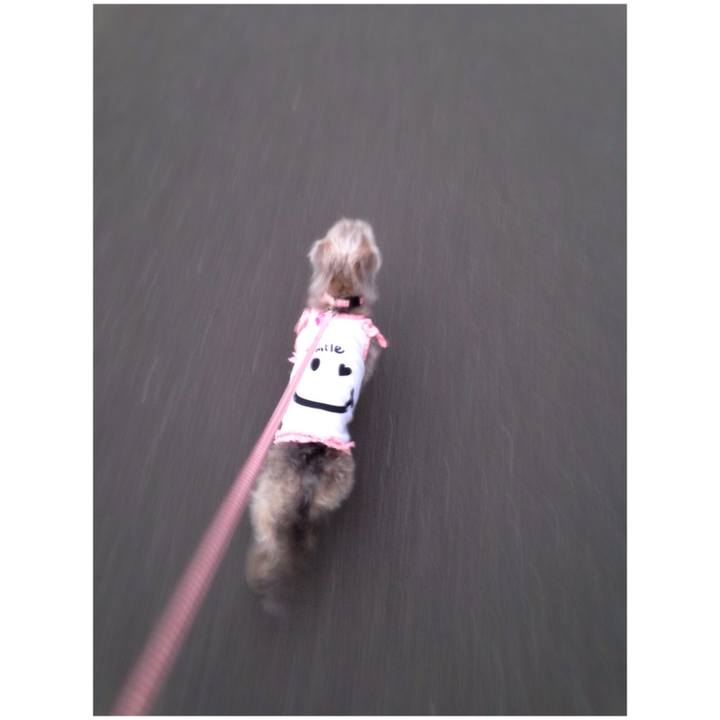 2d9122c5 3f4f 4d9f 86af 5615e9a797cd