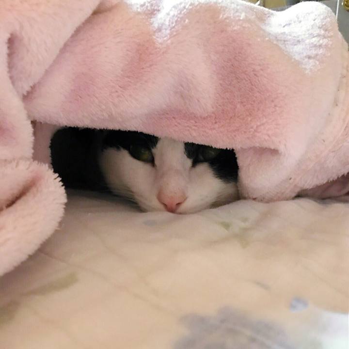 2d914213 de72 4f02 9918 6a2dc1c08b25