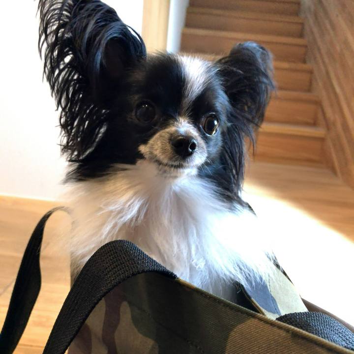 2d91a62e b0c5 4624 9bc3 4655360e848a