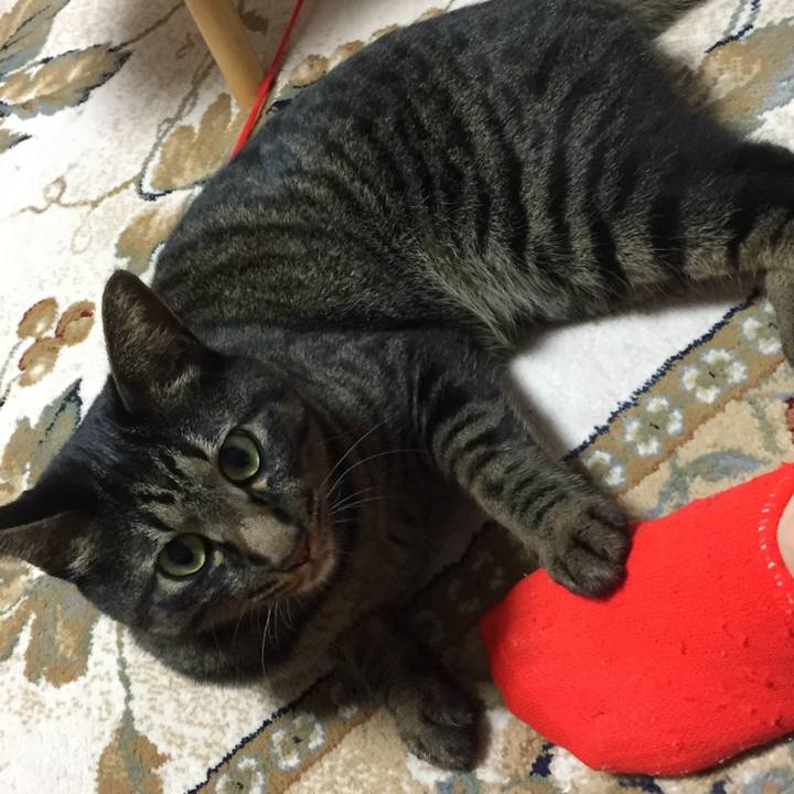 2d91da80 4abd 4cf5 b782 c976873c87bb