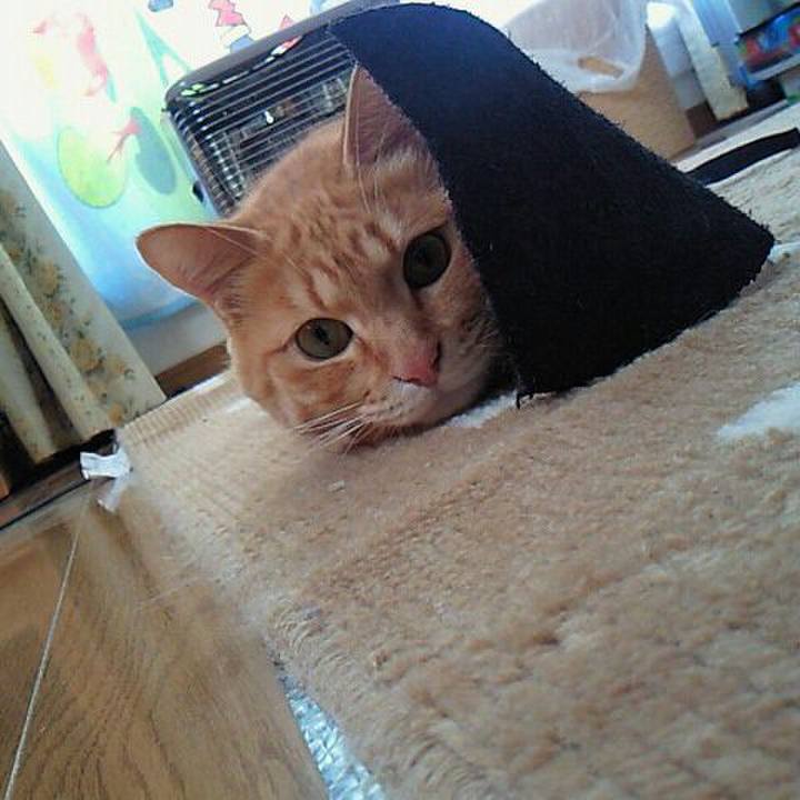 2d93df43 4b13 4347 9eeb 61b7a1b26d8c