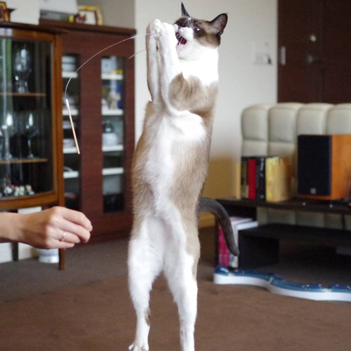 2d94d885 8913 4bba 9c12 e8a666828db8